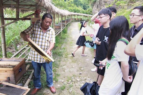 ”善行景宁乡,共圆畲汉梦“成人导航
景宁梦之队-实地调研当地养蜂业